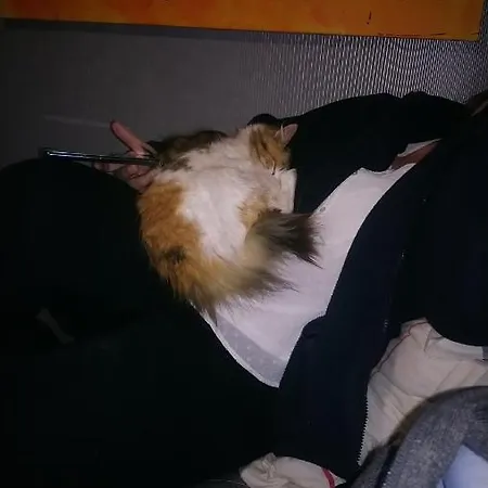 Duo Pradere Avec Piscine Privat bolig