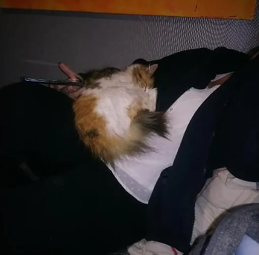 Duo Pradere Avec Piscine Homestay szállás